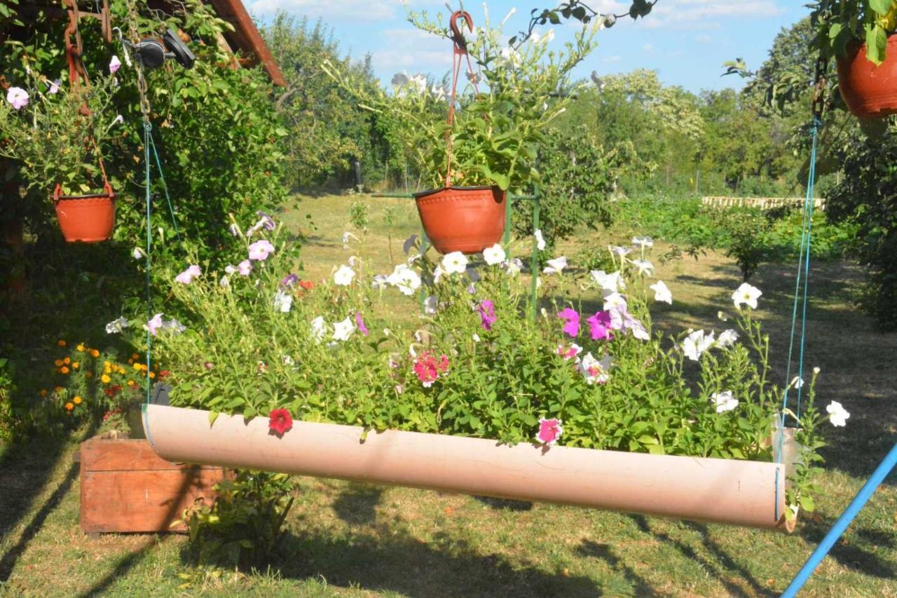 Hostal Gazdinstvo Tadic Nikšić Exterior foto
