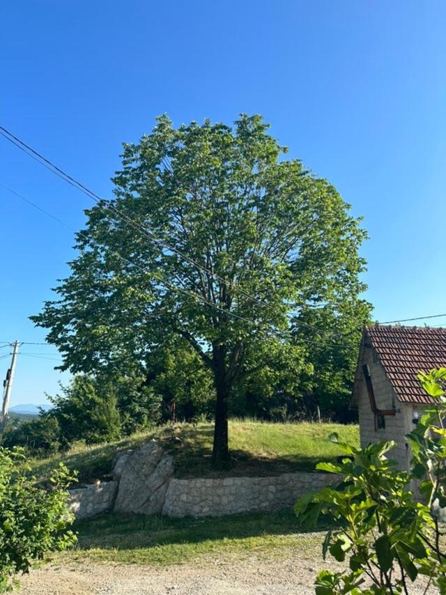Hostal Gazdinstvo Tadic Nikšić Exterior foto
